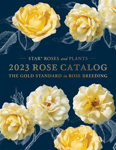 Roses store catalog - Wisconsin Roses. Quality bare-root maiden roses, grafted on Rosa Multiflora root stock, for exhibitors and rose enthusiasts. Updated Oct 12, 2023: Welcome to my new site. If you're new to my site, note that I am a very SMALL grower, some varieties are in very small numbers and will sell out quickly. You can always reserve plants for the next ...